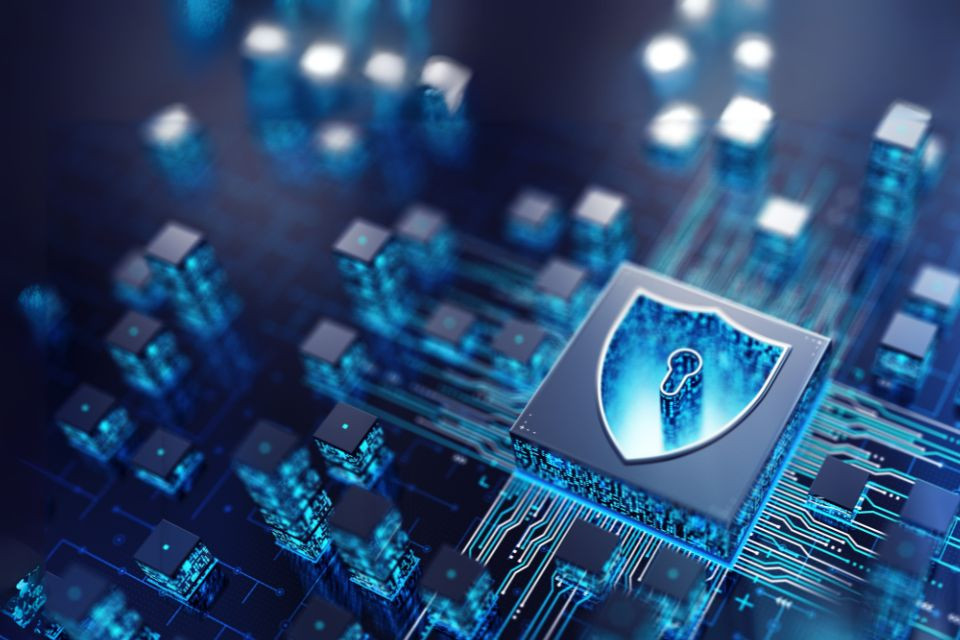Fundamentos de Ciberseguridad: Protección de Datos y Seguridad Digital